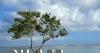 China-US competition for rare earths sparks plan to mine Pacific seabed near Guam