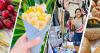 Events happening this weekend on Oahu: April 24 - April 26