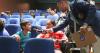 Dozens of kids, parents watch movie together via AG's office project