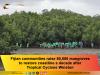 Fijian communities raise 80,000 mangroves to restore coastline a decade after Tropical Cyclone Winston