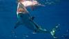 Windsurfing doctor, 55, mauled to death by shark with body found in the water as horrified family watched on from beach