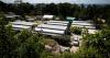 Australian court rejects convicted murderer's appeal of deportation to small island nation