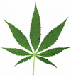 City council to consider cannabis non-storefront retail regulations