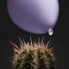 Legalweek 2026: The AI Bubble Literally Pops
