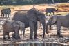 Plenty of biodiversity data, but too few conservation answers