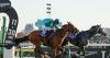 An international King George shapes up to be among best races of the year