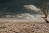 Is Climate Diplomacy Becoming National Security Policy?