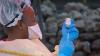 New outbreak of Ebola kills 65 in eastern DR Congo