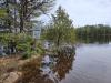 Ecologist encourages action, hope in the BWCA amid climate change