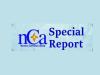 nCa Special Report – Turkmenistan Iodine Industry Report