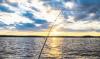 Analysis | A frosty twist fuels fresh fishing Opportunities