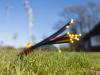 Algeria surpasses 4 mln FTTH subscriptions