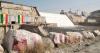 Egypt erupts in fury over Ethiopia's plans for three more Nile dams