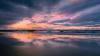 Reflections on What Endures in Conservation