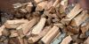 Michigan officials warn residents not to transport firewood over Labor Day