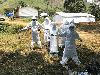WHO Raises Concerns Over Resurgence of Ebola Virus in DRC
