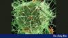 Ebola outbreak: Health workers race to respond in DR Congo