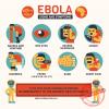 Ebola cases in DRC surpass 1,000, health authorities report