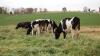 Farm and Food File: Three honest questions needing three honest answers