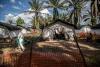 Large ebola outbreak declared in Congo