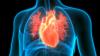 Kardigan’s IPO Lands $400M for Drugs That Get to Root Causes of Heart Diseases