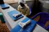 Congo confirms new Ebola outbreak, 80 deaths