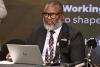 Buthelezi rejects calls for lifestyle audits across government departments