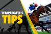 Horse racing tips: ‘Has the ideal draw to blitz down Newmarket’s golden higway’ – Templegate’s 9-1 ‘Super Saturday’ NAP