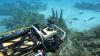 It’s a barracuda! It’s a shrimp! It’s a robot helping coral reefs.