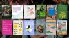 12 climate reads for Women’s History Month