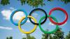 Germany bid to host Olympics 60 years after last