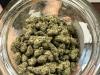 Government can’t restrict gun ownership over marijuana use, Supreme Court rules