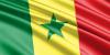 71 Senegal men arrested for having gay sex in ‘unnatural acts’ crackdown