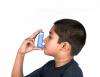 Engineered immune cells suppress asthma symptoms in allergic mice