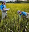 DNREC Releases 2026-2030 Delaware Wetland Program Plan