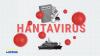 Amid growing hantavirus worries, how prepared is Europe for new health threats?