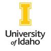 U of I Names Julie Amador Interim Dean of College of Education, Health and Human Sciences