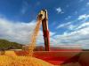 Study reinforces biofuels as a catalyst for agriculture
