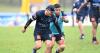 EXCLUSIVE: Penrith Panthers resigned to losing Origin star