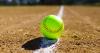 High school softball: Southern Section Tuesday playoff scores and upcoming schedule