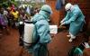 Leading scientists mobilise against the Bundibugyo Ebola strain