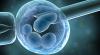 Another Dutch gynecologist caught using own sperm in IVF treatments