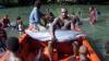 New Solomons PM moves to reinstate dolphin export ban days into leadership