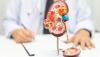 SERB signs agreement to acquire Idefirix rights for $133.6m