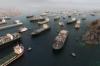 Scientists Warn of 'Bioinvasion' Risk From Hormuz Ship Backlog