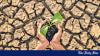 State obligations with respect to climate change