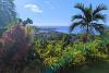Kingston, the Blue Mountains and the North Coast: A Layered Journey Through Jamaica