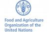 Generated by 230 Economic Territories, Global Fisheries, Aquaculture Production Trade Hits $184bn