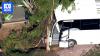 Driver in critical condition after school bus hit tree in Western Sydney