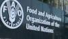 FAO: Women Farmers’ Productivity Gap Costs Nigeria $2.3bn Yearly